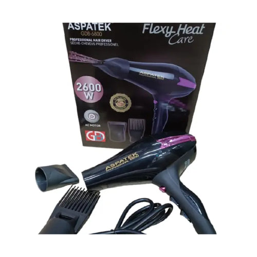 Aspatek 2600W Commercial Blow Dryer