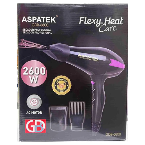 Aspatek 2600W Commercial Blow Dryer