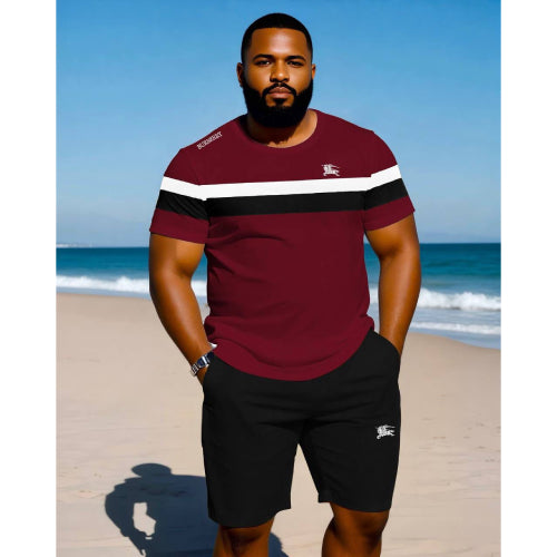 Burberry Men Short Set